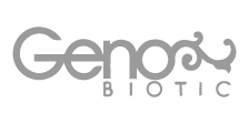 brands